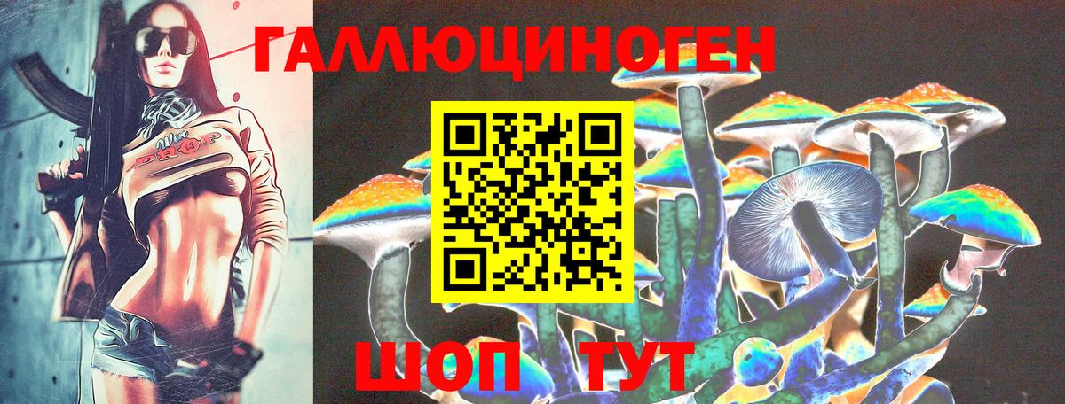 Псилоцибиновые грибы MAGIC MUSHROOMS Элиста