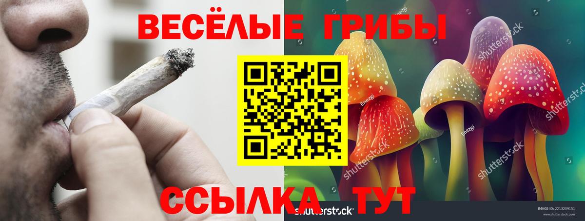 Элиста  Псилоцибиновые грибы GOLDEN TEACHER  Галлюциногенные грибы прущие грибы  Вход с VPN 